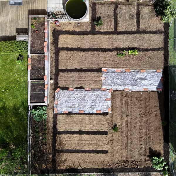 Die Struktur der Beete 2024