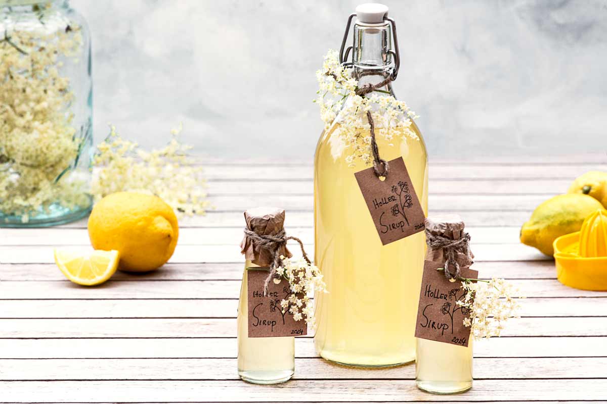 Toller Holler: Holunderblütensirup selbstgemacht