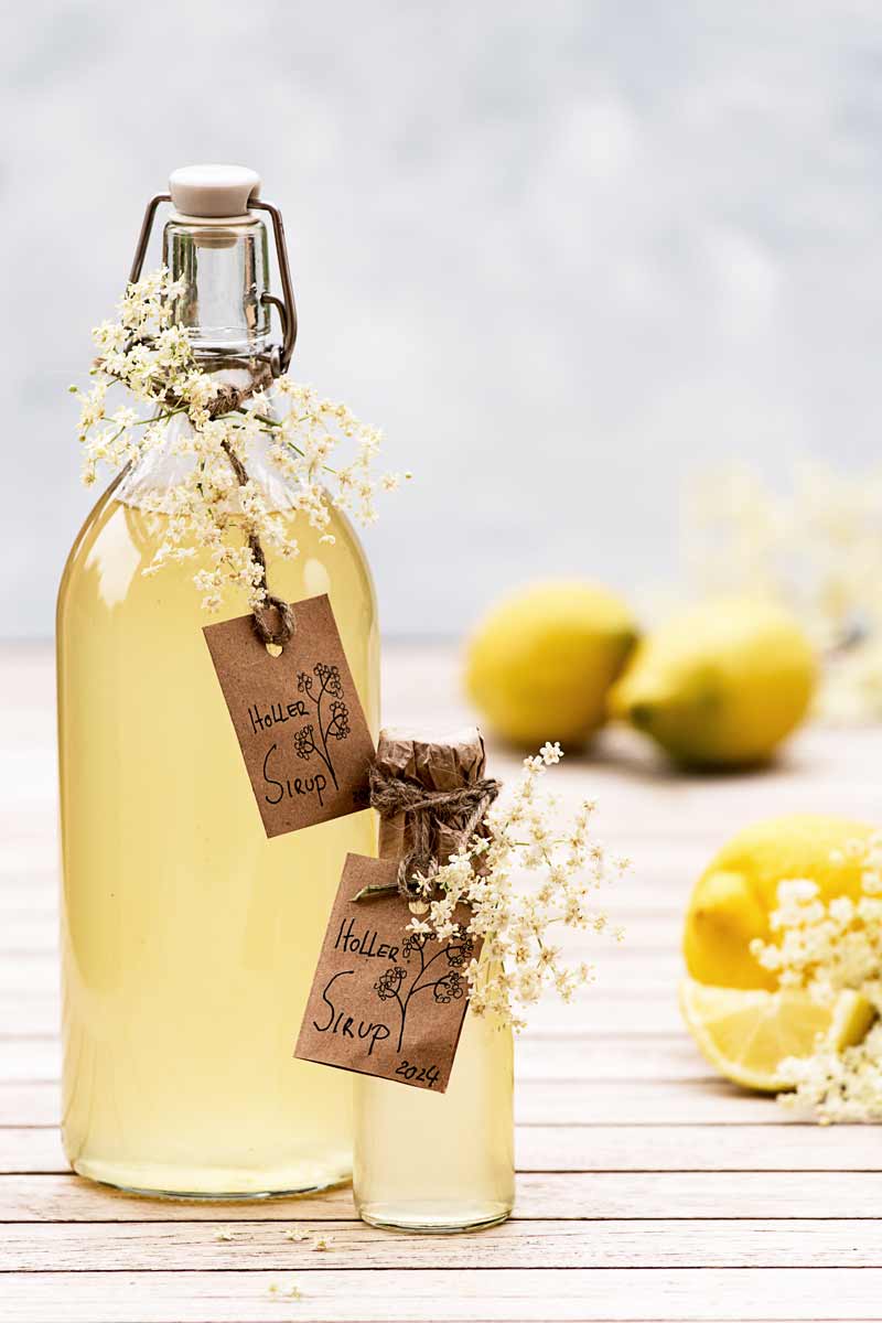 Toller Holler: Holunderblütensirup selbstgemacht