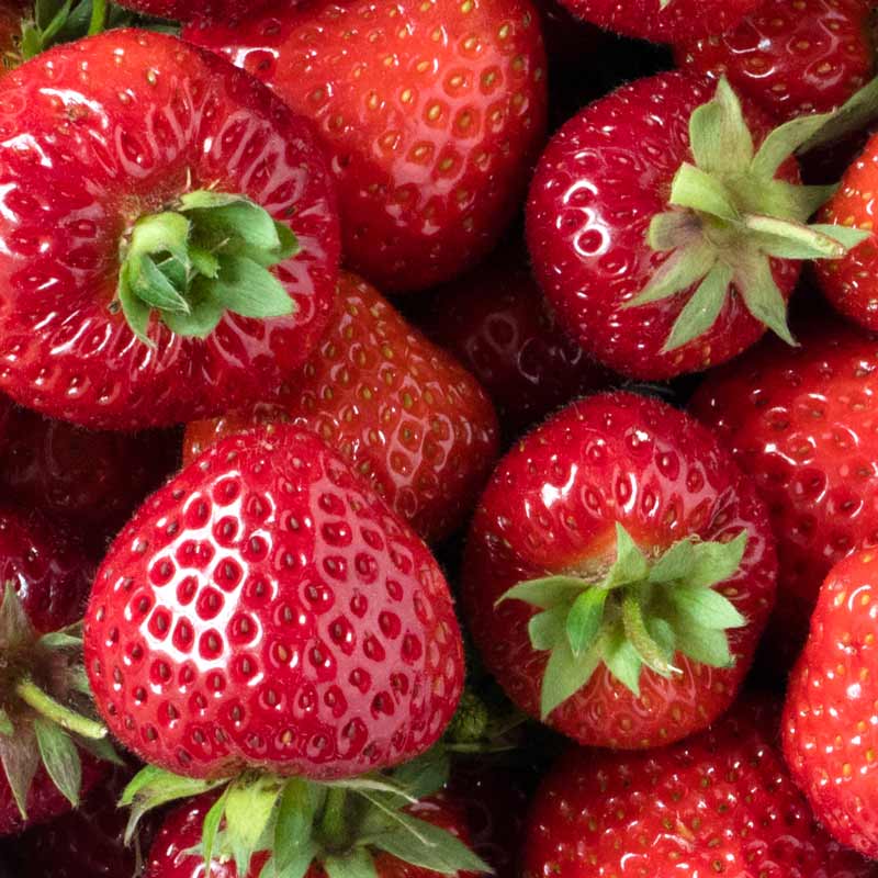 Frische, reife, unbeschädigte Erdbeeren