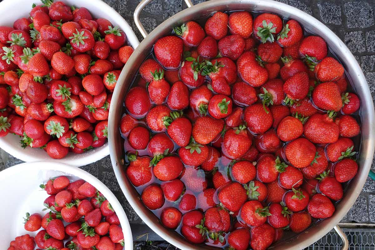 Video: Erdbeeren waschen