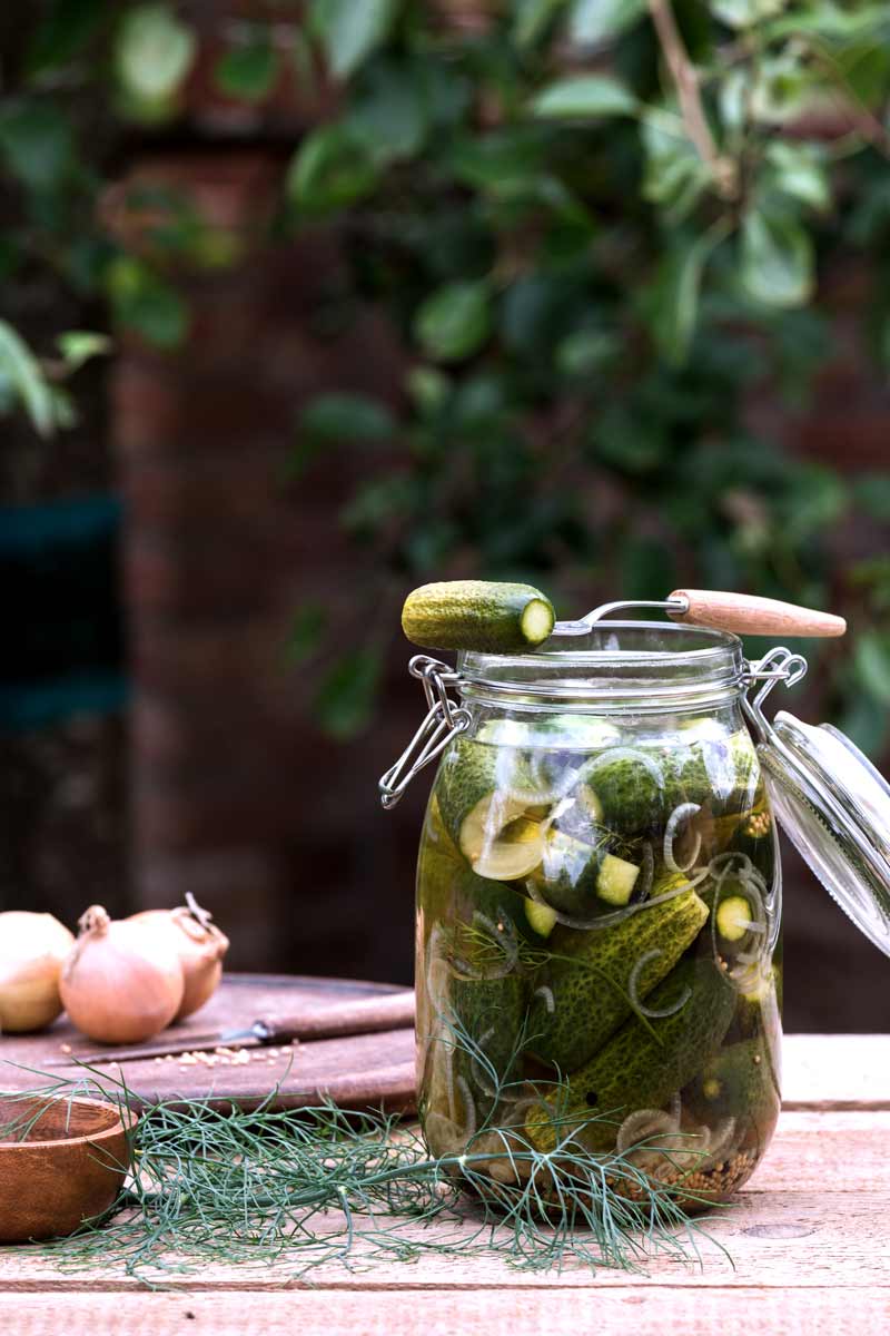 Ein Glas mit eingelegten Blitzgurken nach 3 Tagen Ruhezeit. Daneben liegen Zwiebeln, Gewürze und ein Gemüsemesser