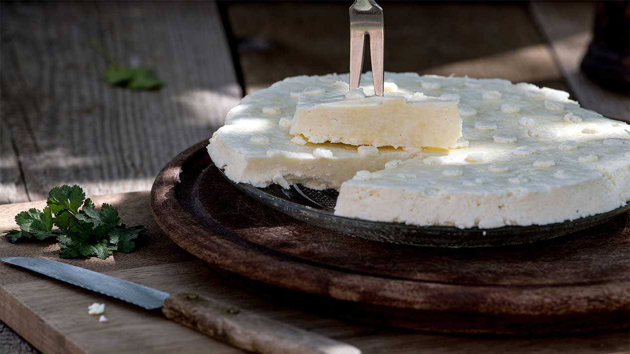 Selbstgemachter Paneer aus Rohmilch