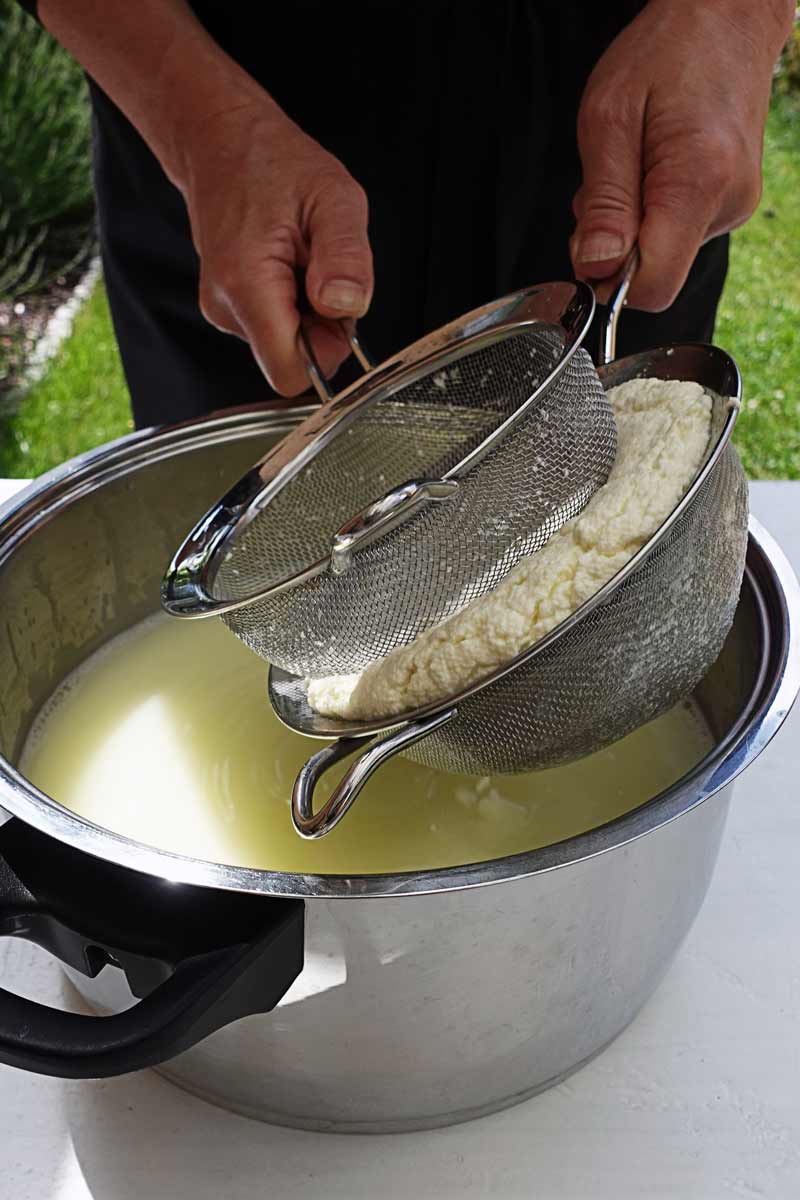 Eine Frau presst mit zwei Sieben den Käsebruch um überschüssige Flüssigkeit zu entfernen und eine feste Textur zu erzeugen.
