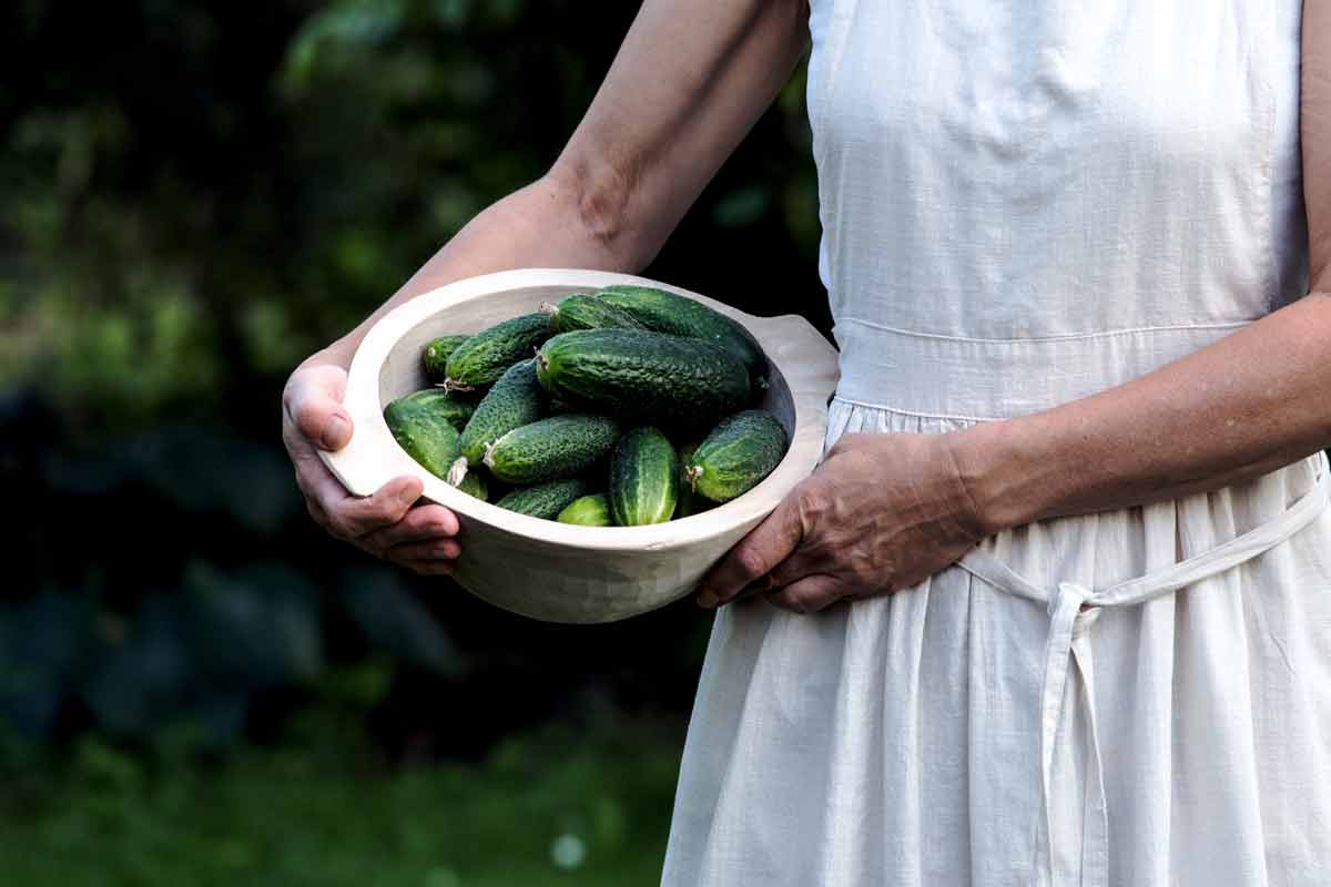 Eine Frau hält eine Holzschüssel mit frisch geerntenten Gurken aus dem eigenen Garten