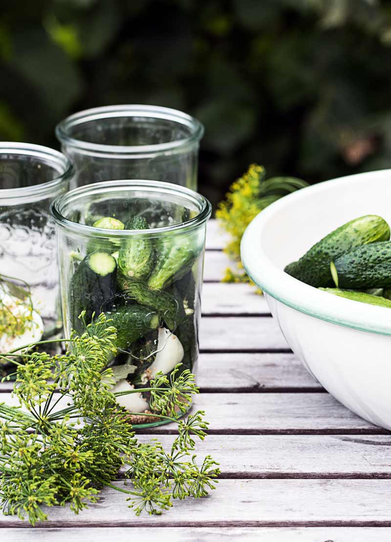 Gurken werden in Einmachgläser gefüllt. Daneben steht eine große Schüssel mit Bauerngurken.