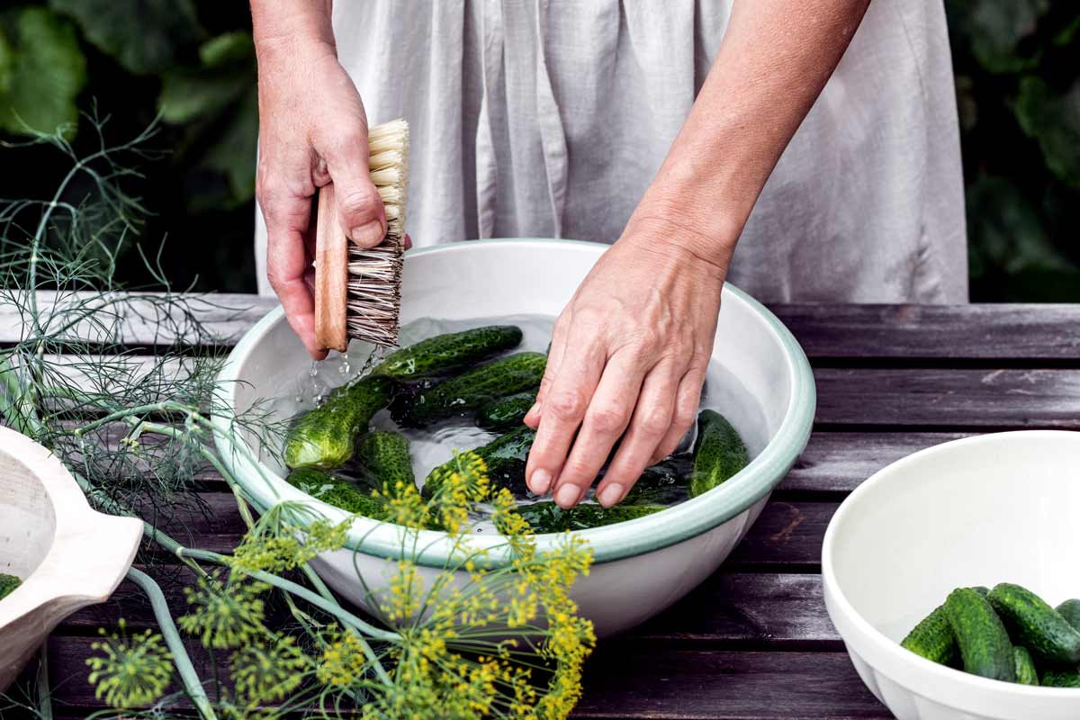 Eine Frau reinigt Bauerngurken in einer Schüssel mit Wasser und einer Bürste