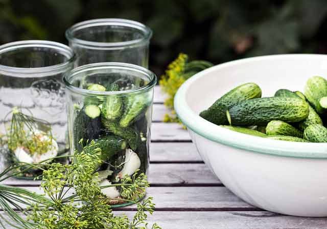 Gurken werden in Einmachgläser gefüllt. Daneben steht eine große Schüssel mit Bauerngurken.