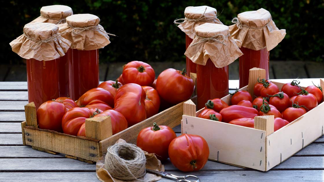 Ernte aus dem eigenen Garten