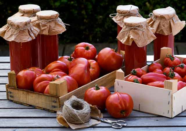 Zwei Kisten mit frischen Tomaten der Sorte Ochsenherz und San Marzano. Daneben Gläser mit eingemachter Tomatensauce.