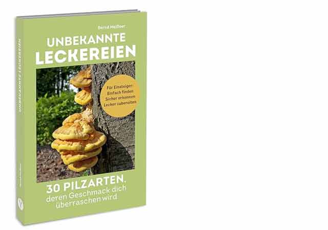 Unbekannte Leckereien: 30 Pilzarten, deren Geschmack dich überraschen