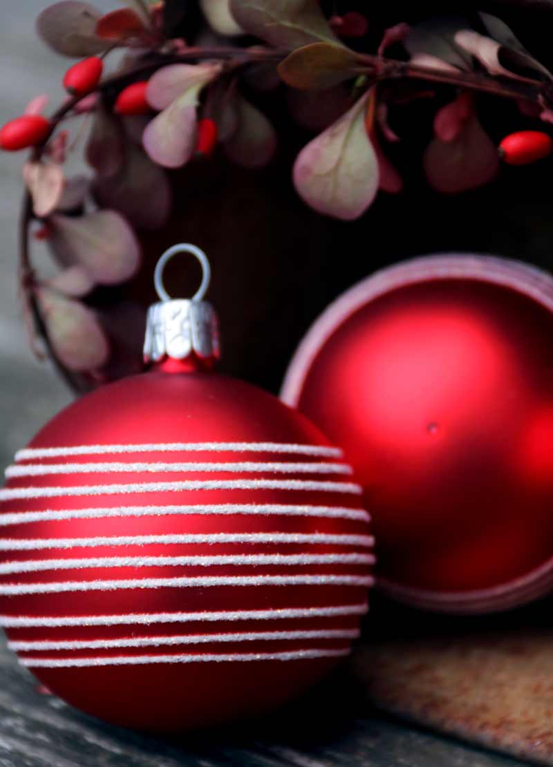 Zwei rote Christbaumkugeln zwischen Beeren auf Tannenzweig