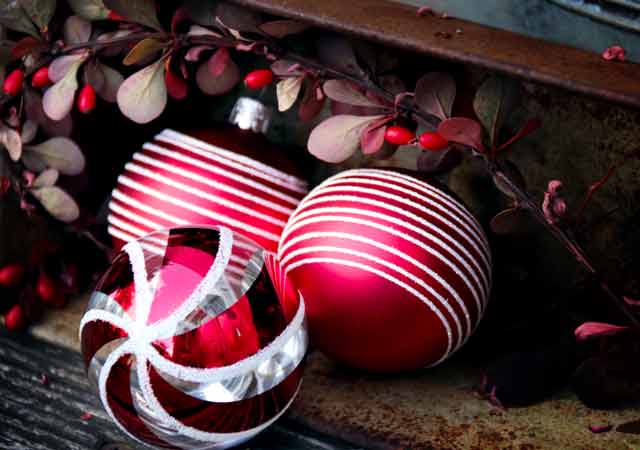 Drei rote, weiße Glas-Christbaumkugeln umgeben von roten Beeren