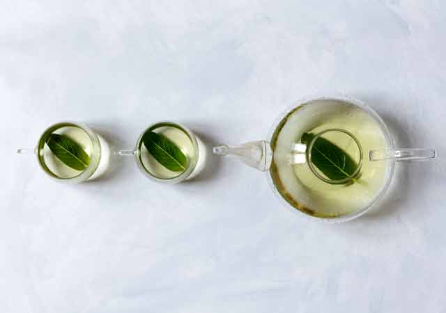 Teekanne und zwei Teetassen mit frisch gebrühtem Salbeitee