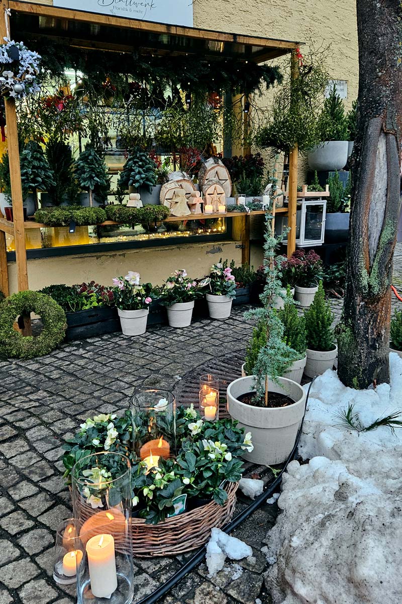 Weihnachtlich geschmückter Blumenladen beim Adventsmarkt Markt Laaber
