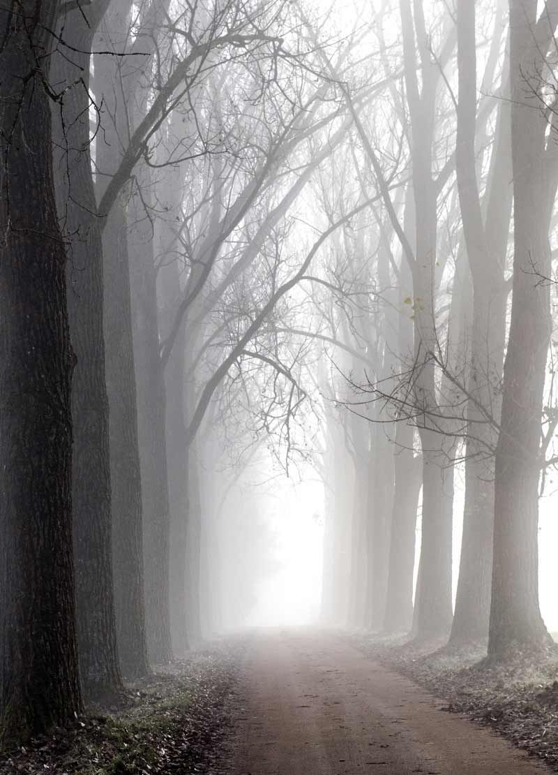 Weihnachtliche Apfeltorte aus Lageräpfeln – Novemberzauber auf dem Teller