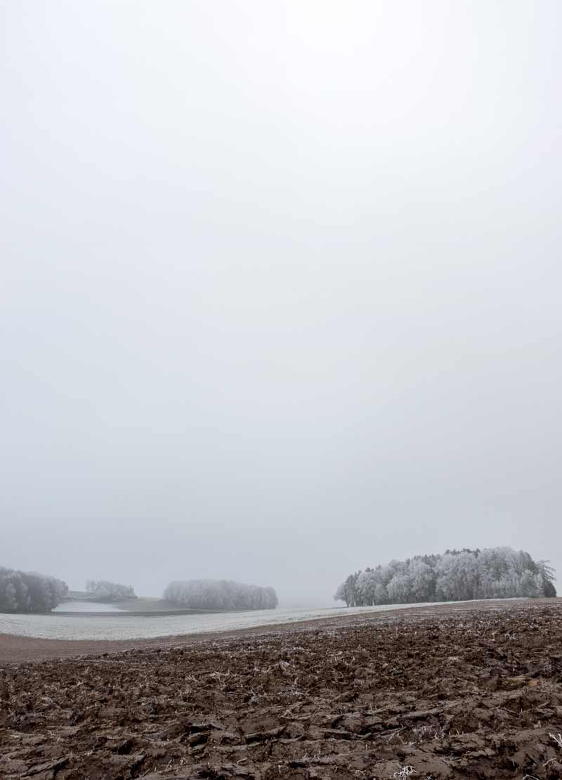 ein Acker mit mehreren Baumgruppen in der Oberpfalz - Neblige frostige Landschaft