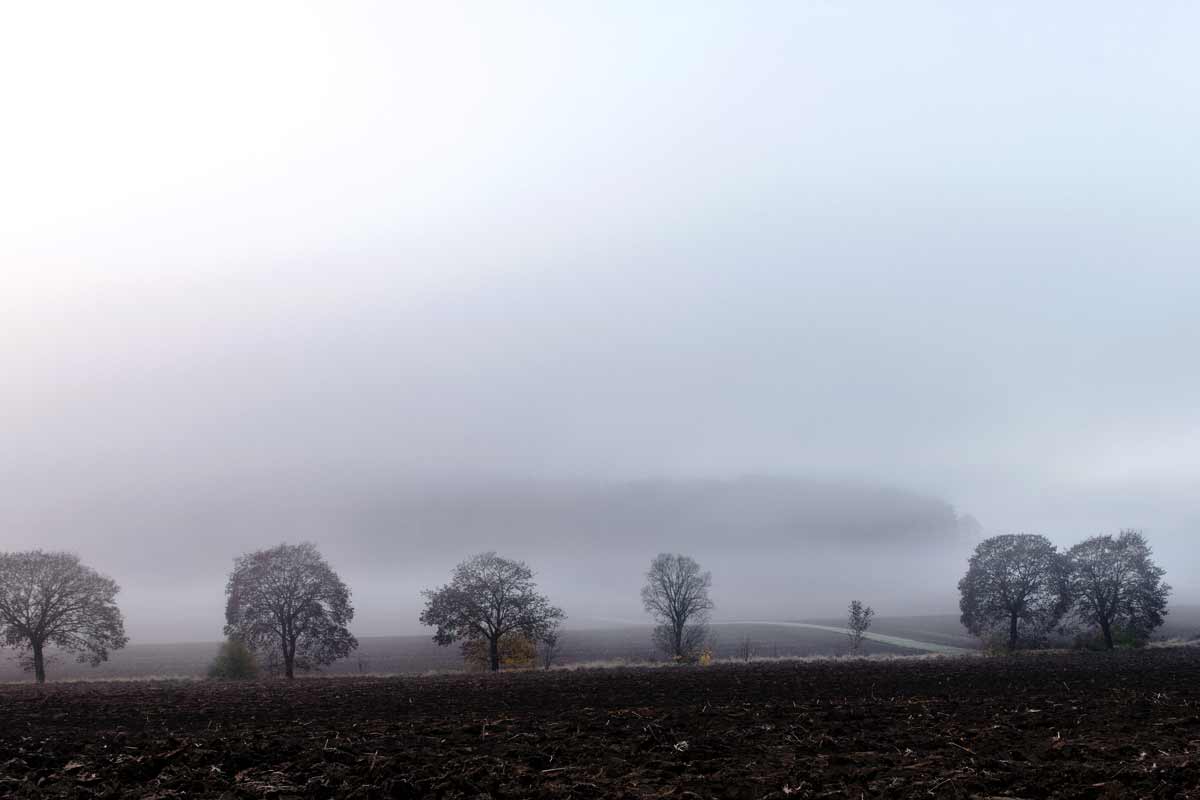 Weihnachtliche Apfeltorte mit Lageräpfeln: Vom grauen November zum festlichen Genuss