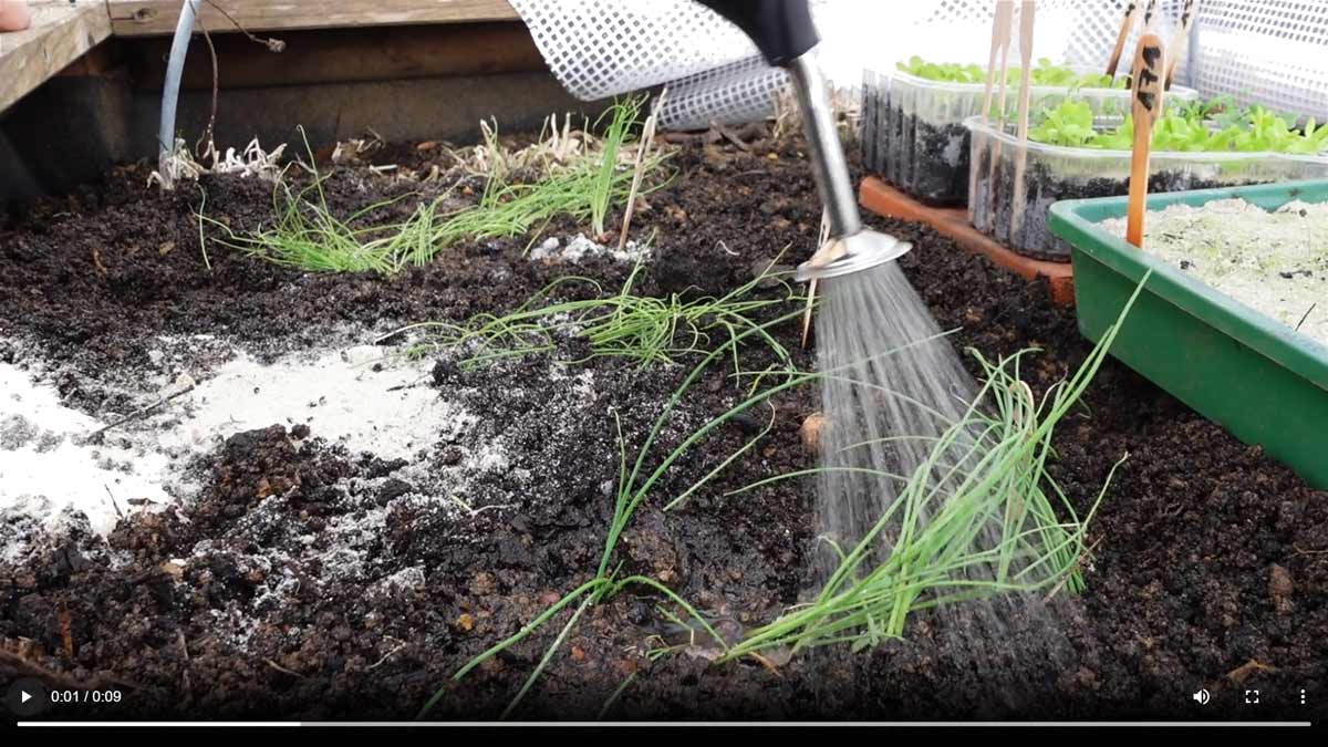 Video: Ballbrause bei der Ansaat