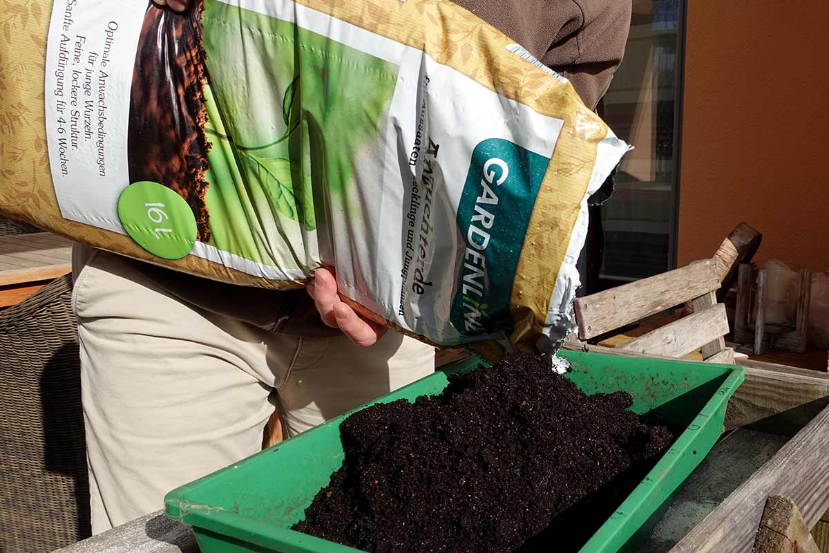 Anzuchterde wird in eine Anssatschale gefüllt