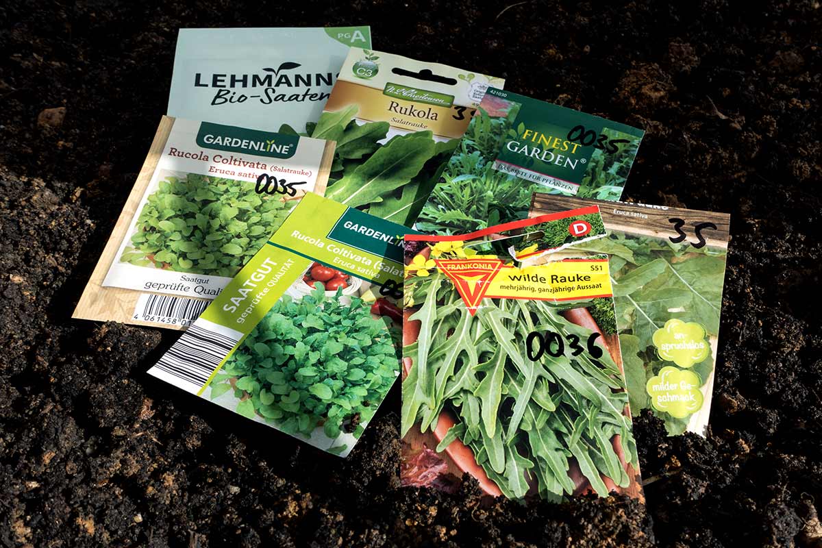 Samentüten mit verschiedenen Sorten Rucola - Rauke