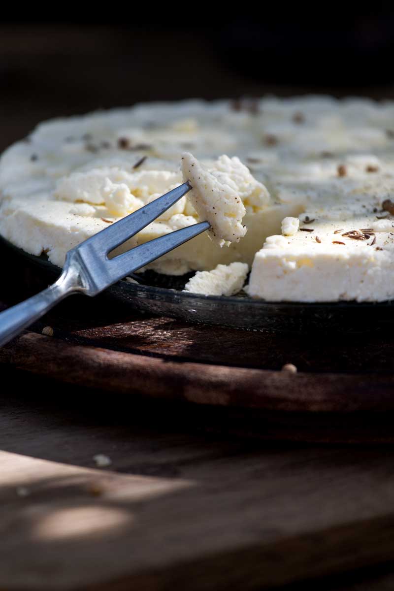 Selbstgemachter Paneer aufgespießt auf einer Gabel