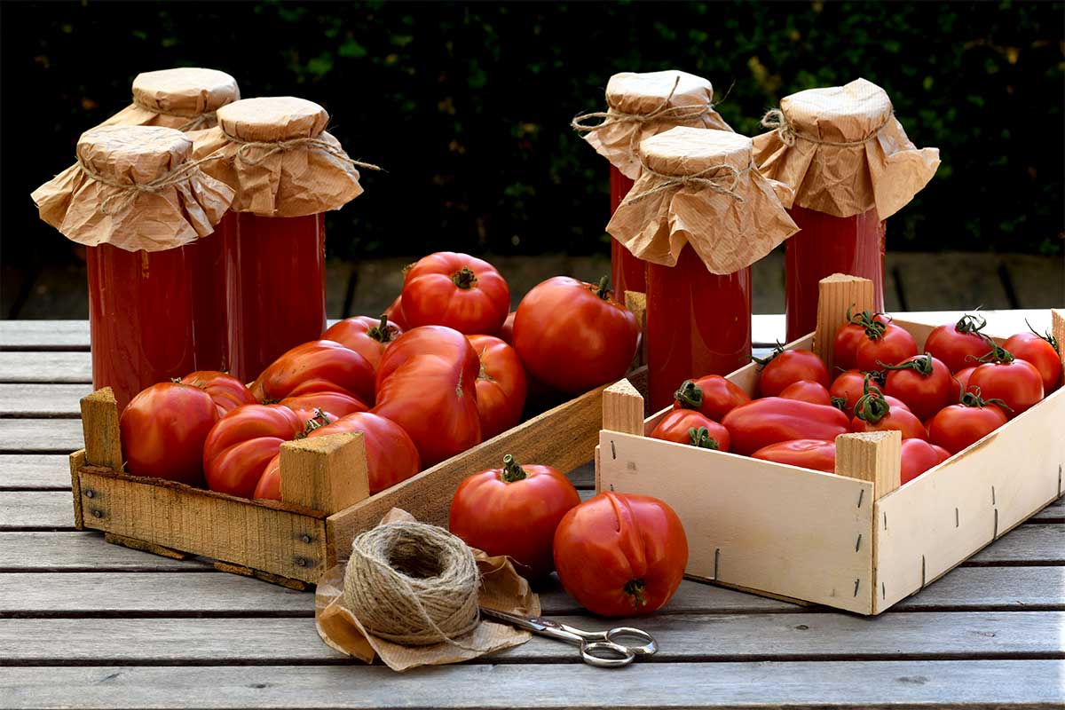 Tomaten und selbst gemachte Tomatensauce in Gläsern