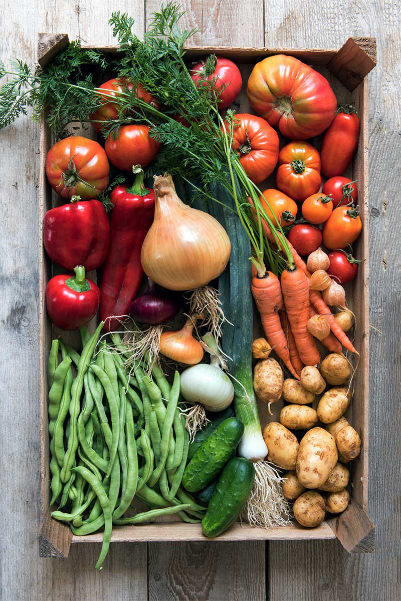 Eine Kiste mit frischem Gemüse aus dem eigenen Garten