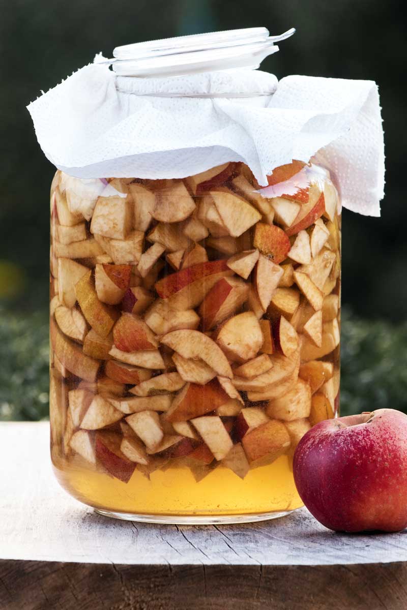 Apfel-Essig: Frisch angesetzt