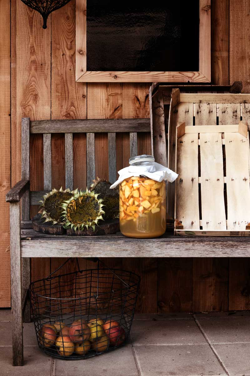 Apfel-Essig nach 4 Tagen. Etwas trüb und gärig