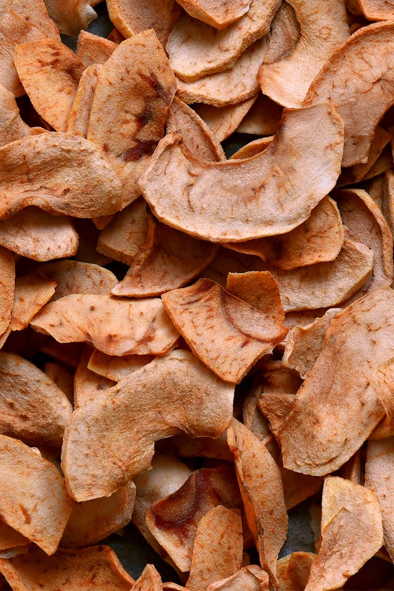 Getrocknete Apfelschnitze aus Fallobst: Trockensubstanz