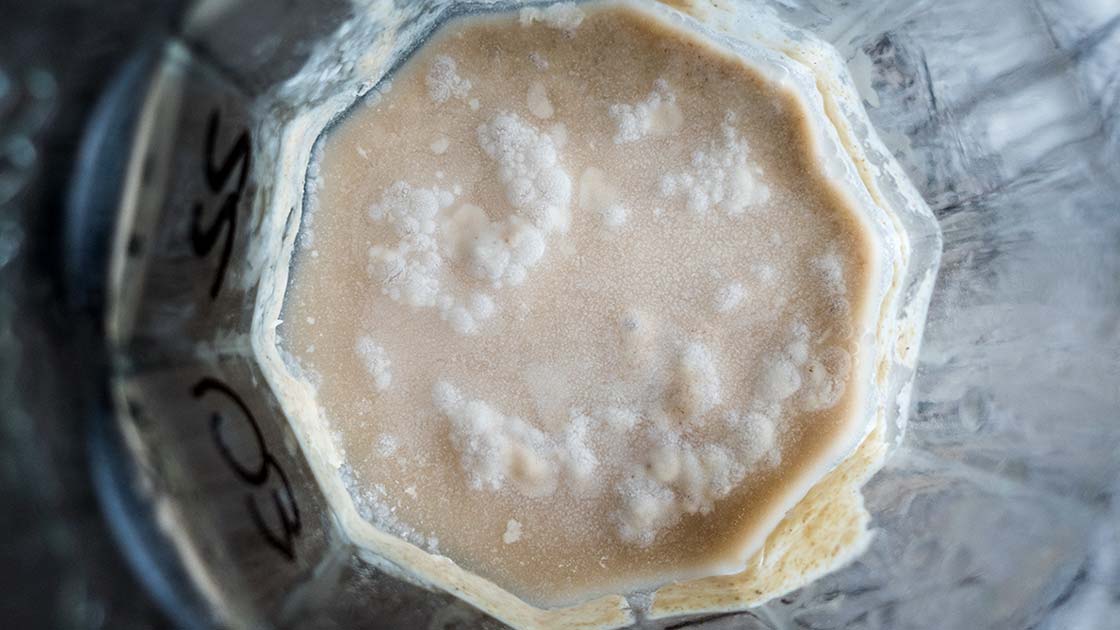 Kahmhefe auf Roggensauerteig im Glas