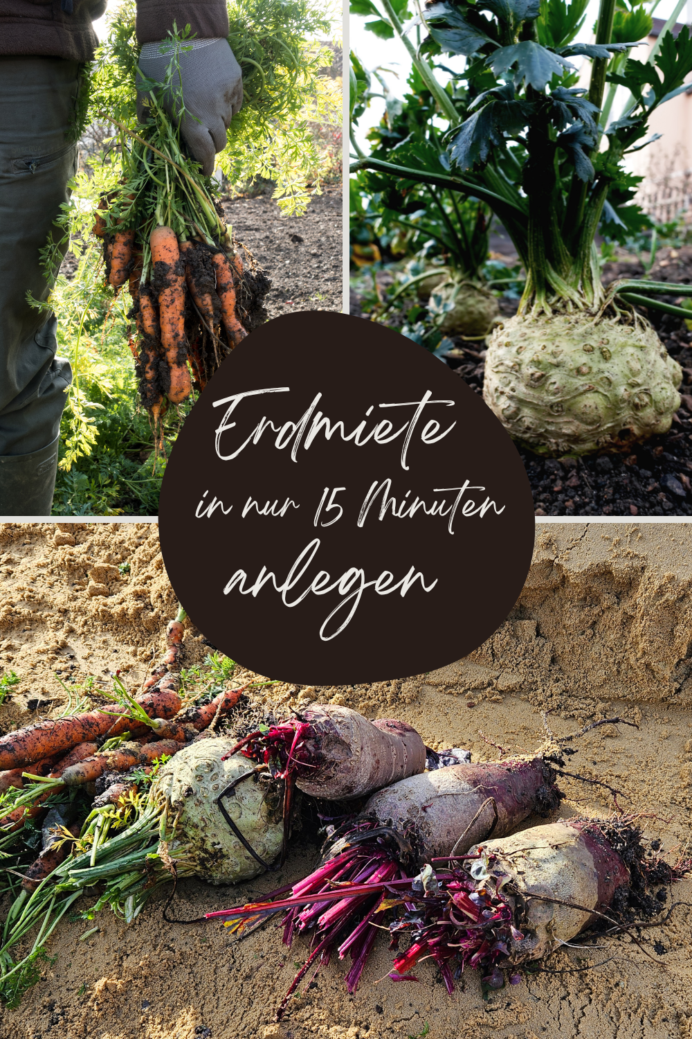 Video: Erdmiete in nur 15 Minuten anlegen