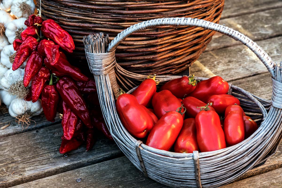  San-Marzano-Tomatensauce