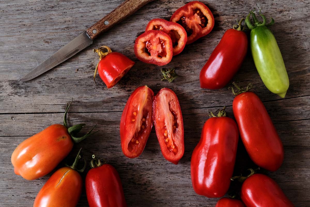 San-Marzano-Tomaten: Reifegrade von grün bis rot