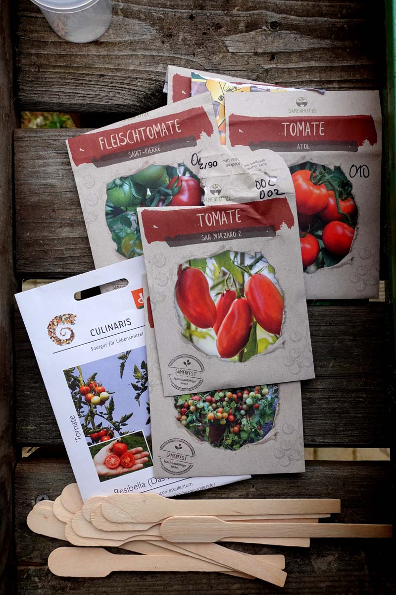 Tomaten vorziehen 2026: verschiedene samenfeste Sorten bereit zum Vorziehen auf der Fensterbank