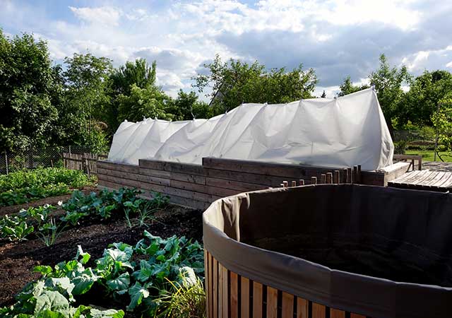 Tomaten-Jungpflanze beim Abhärten als Einstieg in den Frostschutz-Ratgeber