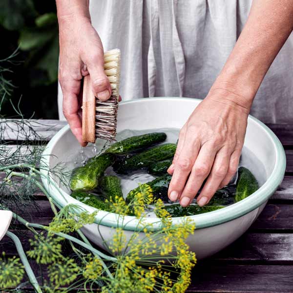 Einlegegurken waschen