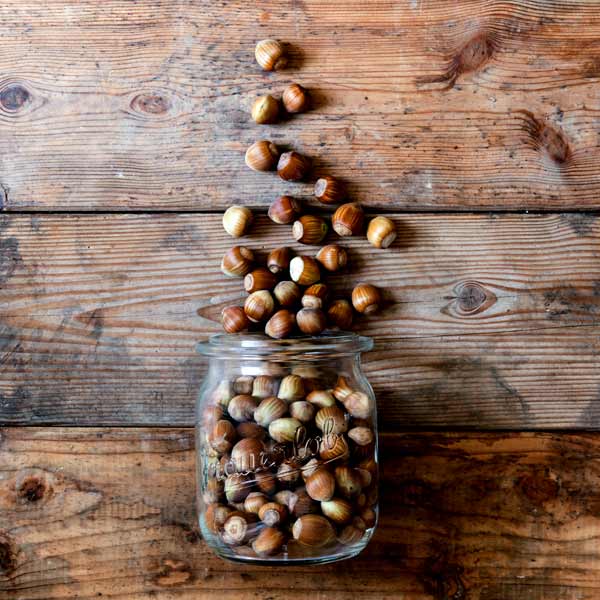 Ein Glas mit frisch geernteten Haselnüssen