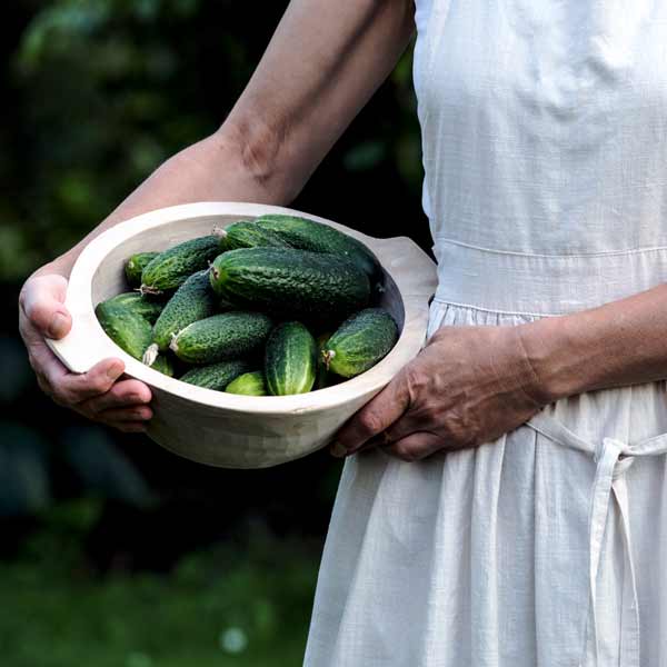 Eine Frau hält eine Holzschüssel mit frisch geerntenten Gurken aus dem eigenen Garten