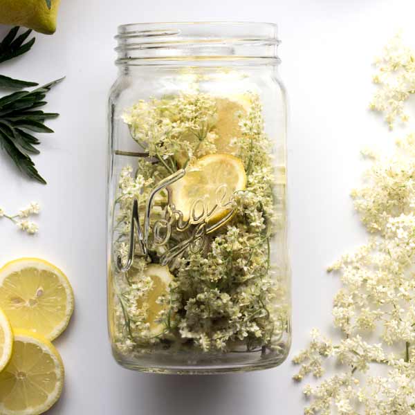 DIY Holunderblütensirup Zutaten