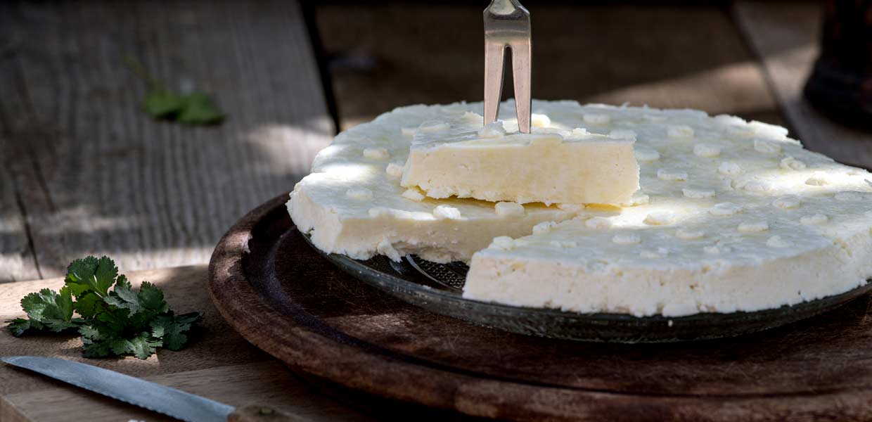 Selbst gemachter Paneer / Panir