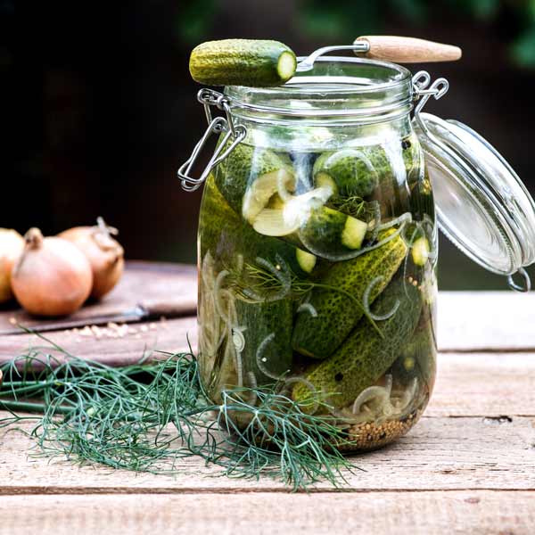 Eingelegte Gurken