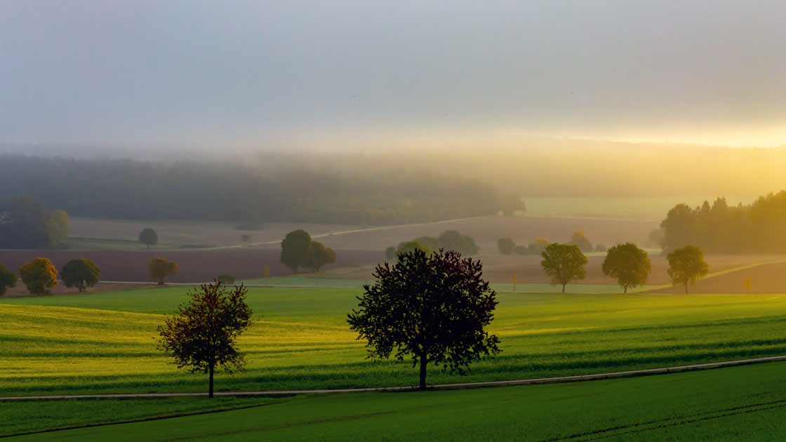 Goldgelbe Morgenstimmung in der nebligen Landschaft mit Feldern und Bäumen des Bayerischen Jura im Regensburger Land
