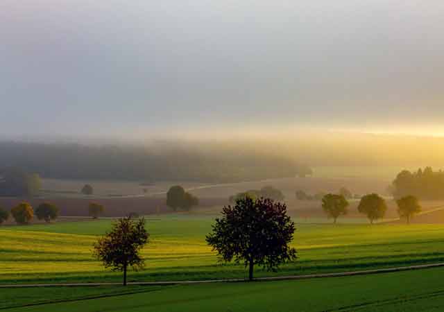 Landschaft im Regensburger Land mit Blick auf Duggendorf